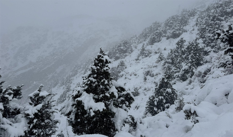 शीतलहर कर रही परेशान, जानिए कब हो सकती है बारिश और बर्फबारी