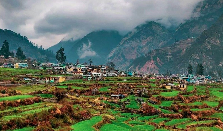 उत्तराखंड में मौसम की बेरुखी से फसलों को हुआ नुकसान, बारिश और बर्फबारी का इंतजार