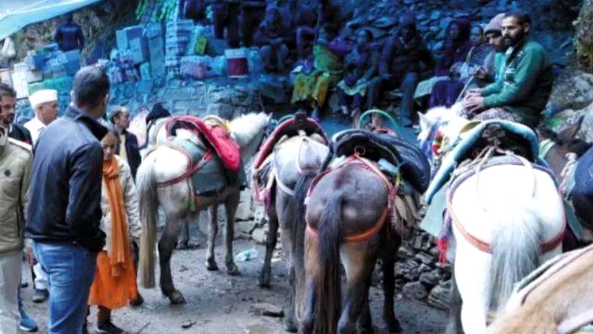 पशु क्रूरता को लेकर सख्ती, घोड़े-खच्चरों के संचालन के लिए बनेगी एसओपी